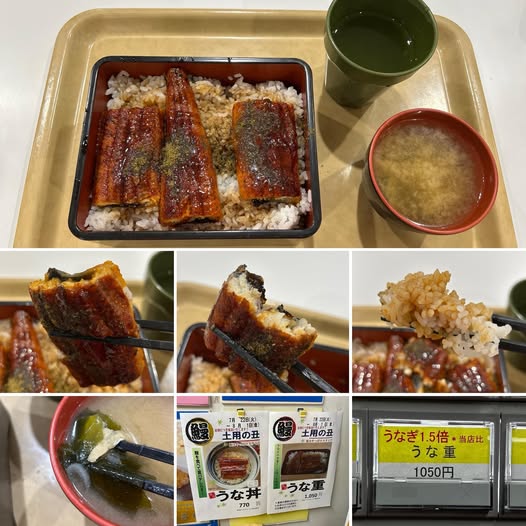 524936538_23969281366090318_1459920040666277898_n 新宿区役所 お食事処 けやきにてうな重1050円【新宿】