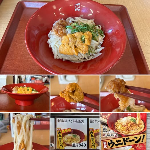 549782120_24434684289550021_8351874470136126357_n なか卯 新宿職安通り店にて雲丹おろしうどん840円【新宿】